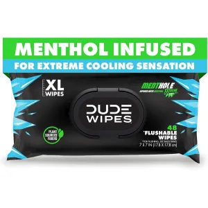 dude-wipes-unscented-288