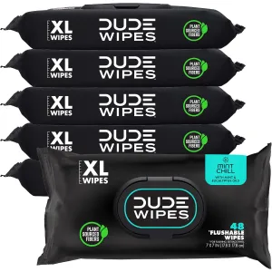 dude-wipes-unscented-288