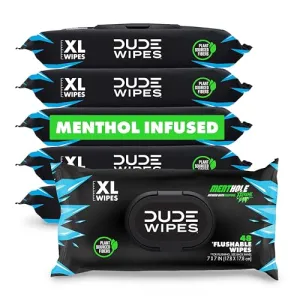 dude-wipes-unscented-288