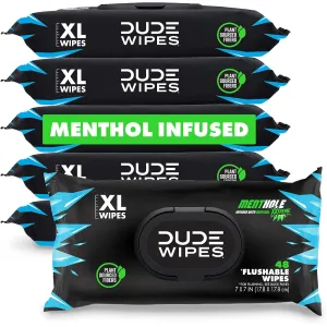 dude-wipes-unscented-288