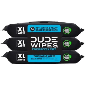 dude-wipes-unscented-288