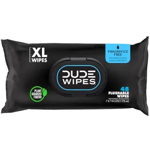 dude-wipes-unscented-288