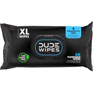 dude-wipes-unscented-288