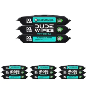 dude-wipes-unscented-288
