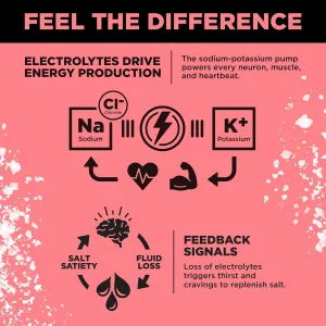 lmnt-raspberry-electrolyte