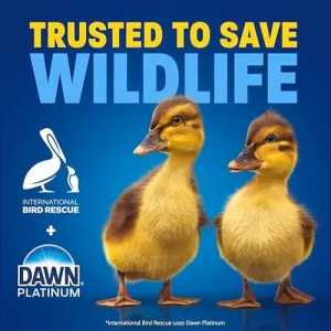 dawn-ultra-dish-soap-refill