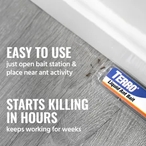 terro-liquid-ant-killer