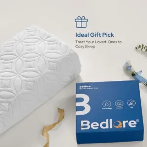 bedlore-waterproof-protector