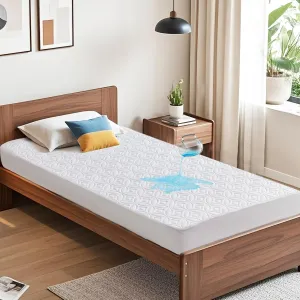 bedlore-waterproof-protector
