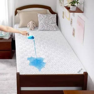 bedlore-waterproof-protector