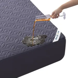 bedlore-waterproof-protector