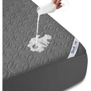 bedlore-waterproof-protector