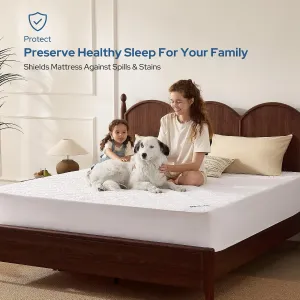 bedlore-waterproof-protector