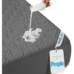 bedlore-waterproof-protector
