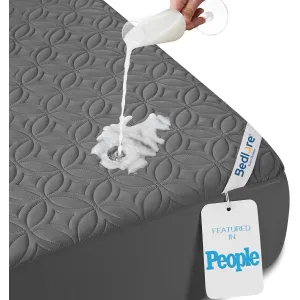 bedlore-waterproof-protector