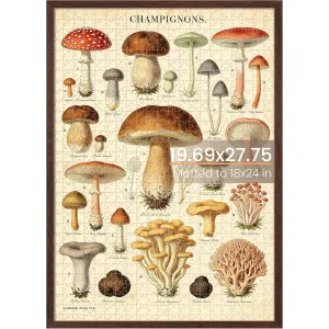 upsimples-11x14-frame