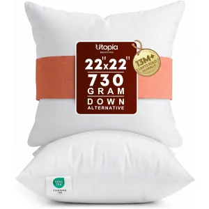 18x18-pillow-inserts