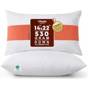18x18-pillow-inserts