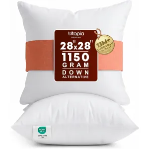 18x18-pillow-inserts