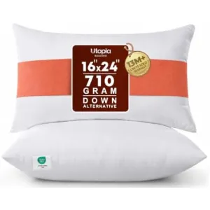 18x18-pillow-inserts