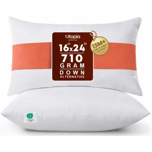 18x18-pillow-inserts