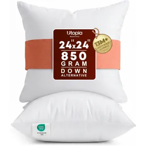 18x18-pillow-inserts