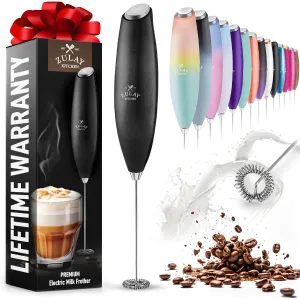 milk-frother-wand-z1