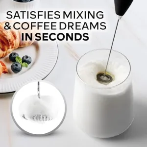 milk-frother-wand-z1
