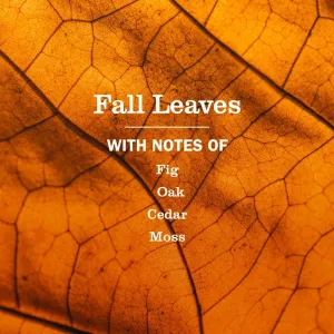 fall-leaves-hand-soap