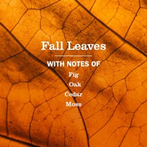 fall-leaves-hand-soap