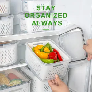 large-fridge-fruit-containers