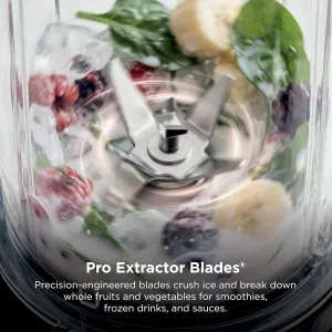 ninja-nutri-plus-blender
