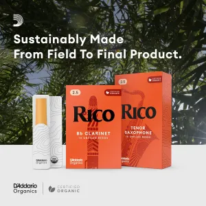 rico-bb-clarinet-reeds-2-5