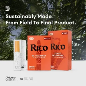 rico-bb-clarinet-reeds-2-5