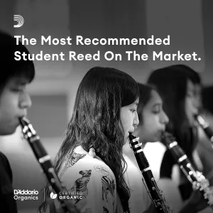 rico-bb-clarinet-reeds-2-5