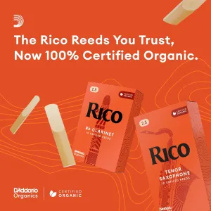 rico-bb-clarinet-reeds-2-5