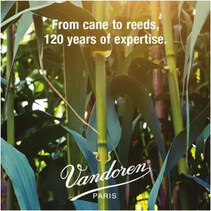 vandoren-bb-clarinet-reeds