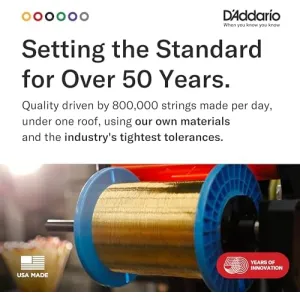 d-addario-80-20-bronze-light
