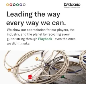 d-addario-80-20-bronze-light