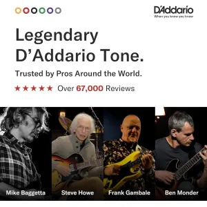 d-addario-80-20-bronze-light