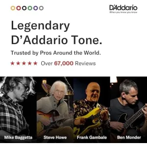 d-addario-80-20-bronze-light