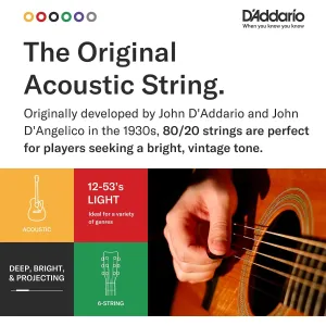 d-addario-80-20-bronze-light