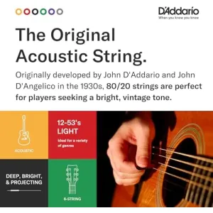 d-addario-80-20-bronze-light
