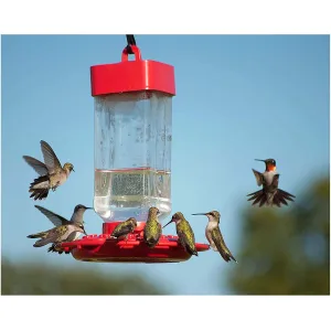 hummingbird-nectar-ready-to-use