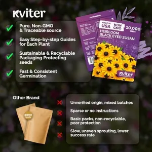 black-eyed-susan-seeds