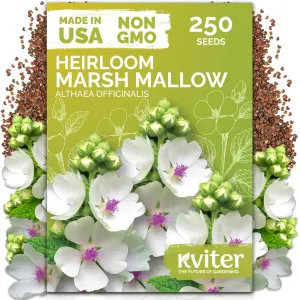 black-eyed-susan-seeds