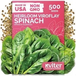 black-eyed-susan-seeds