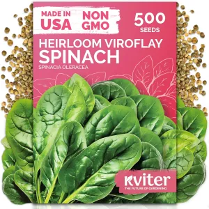 black-eyed-susan-seeds