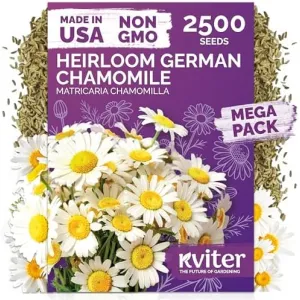 black-eyed-susan-seeds