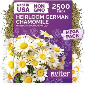 black-eyed-susan-seeds